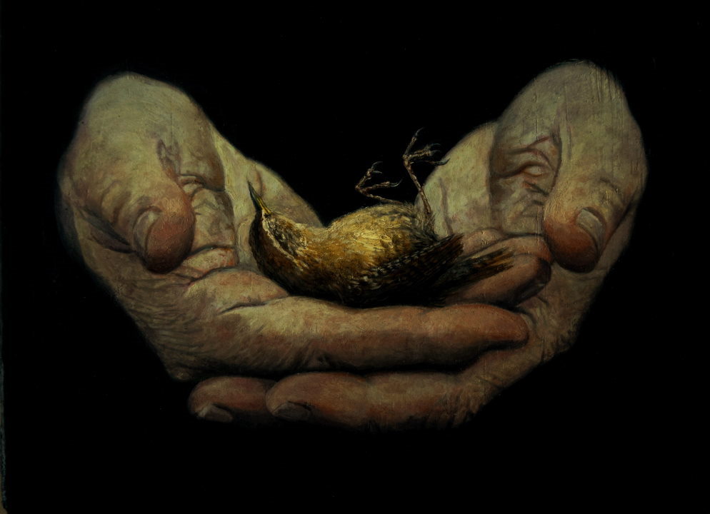 Augury (Blakes Little Wren)